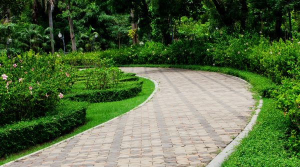 Paver Walkway Repair in Carmel