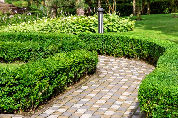 Paved Landscaping in Carmel
