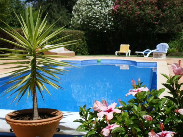 Pool Terrace Renovation in Carmel