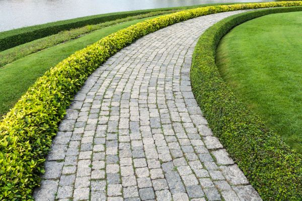 Sidewalk Pavers Installation in Carmel